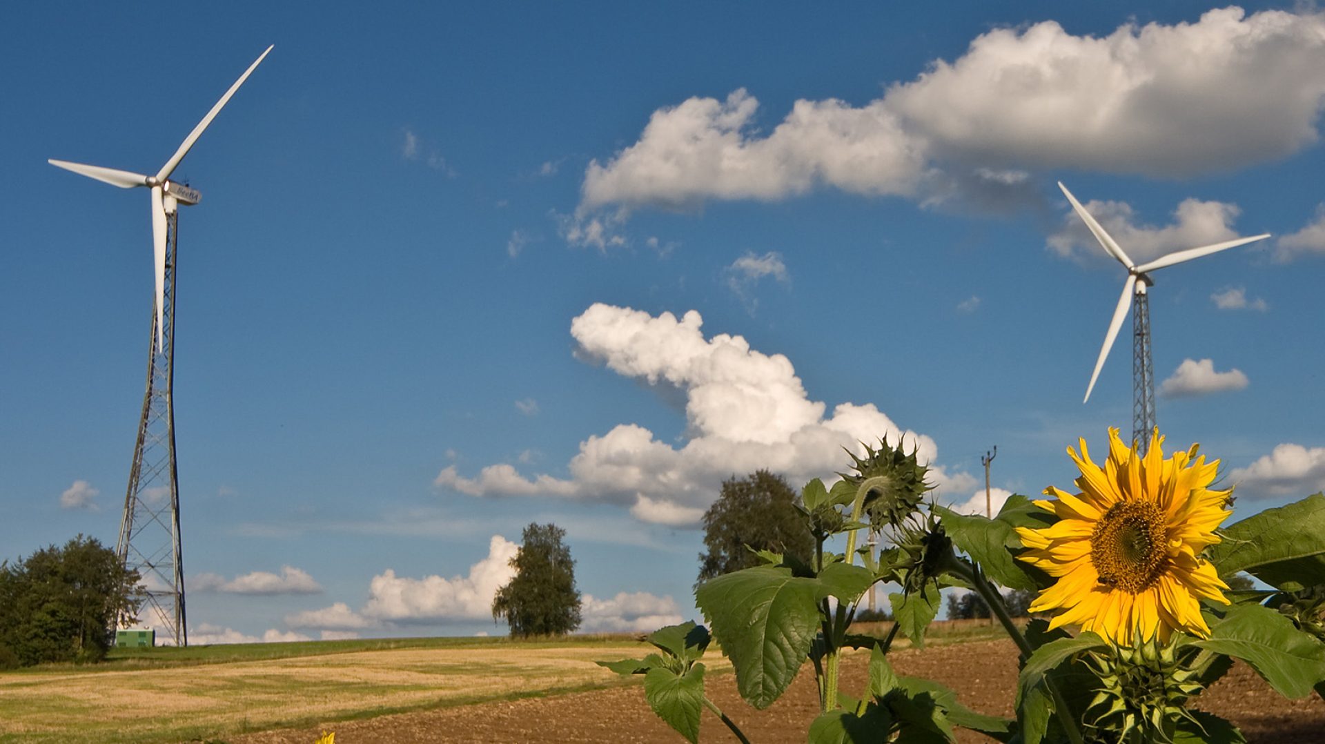 Romus Energie Innovation - Energieregion Schleife